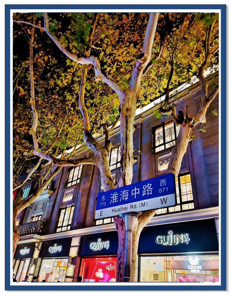 上海原霞飞路目前叫什么路截图