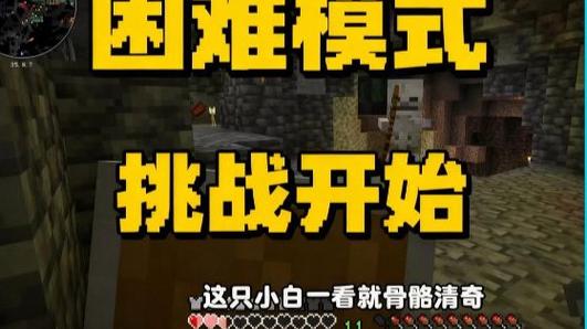 我的世界难题模式游戏截图