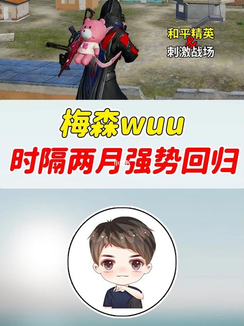 和平精英梅森
