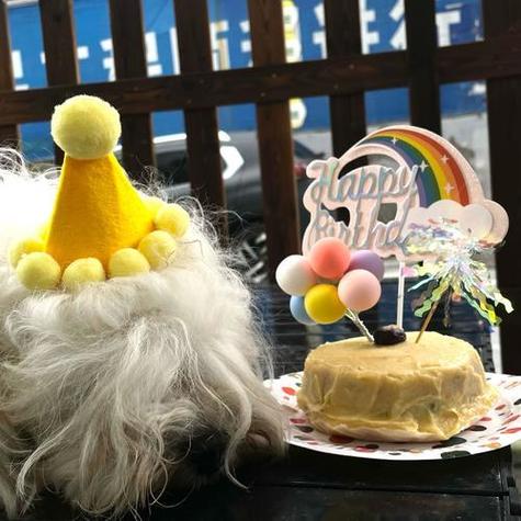沙雕生日祝福语