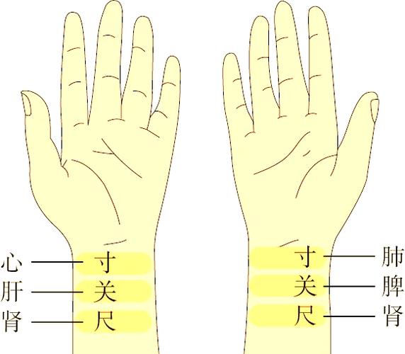 二十八脉诊口诀