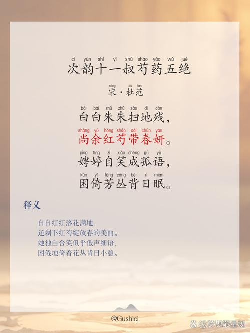 芍药记事笔趣阁
