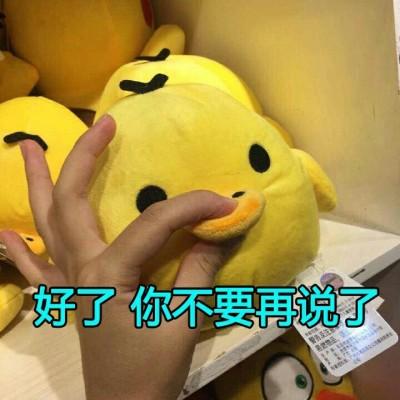 给我10块钱表情包鸭子