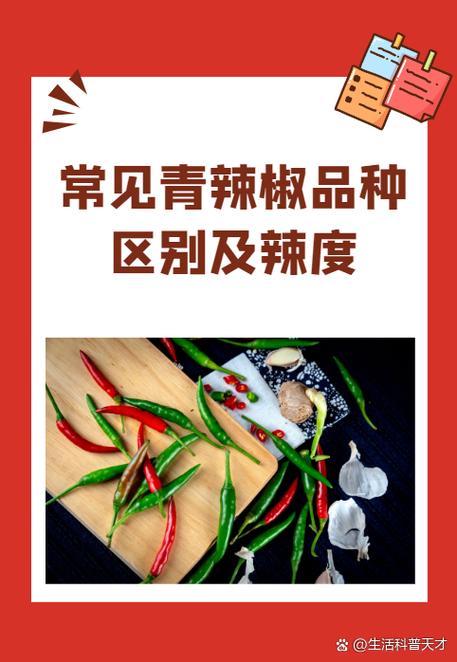 各种辣椒图片及名称图标