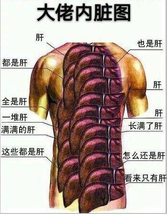 器官表情包图标