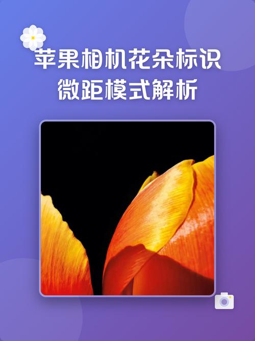 iphone微距模式