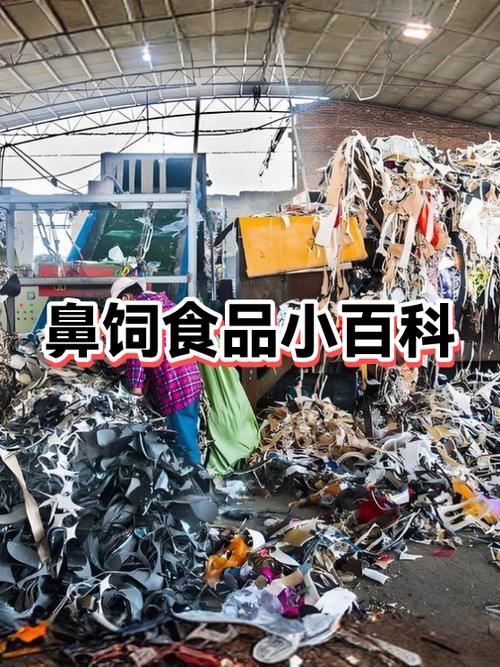 食品包括哪些