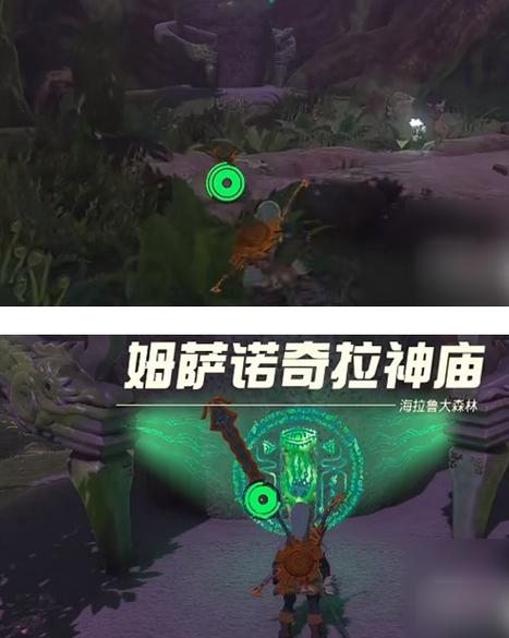 塞尔达传说呀哈哈森林在哪