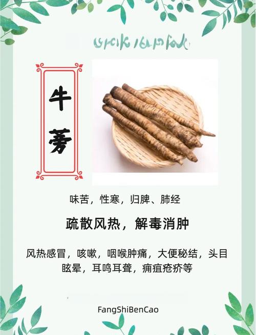 牛蒡赏多宝