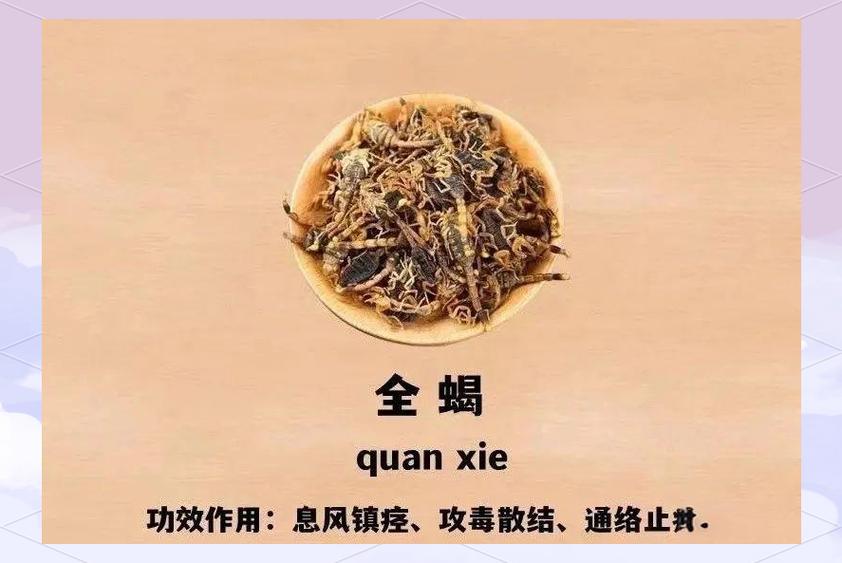 古村奇草是治什么的截图