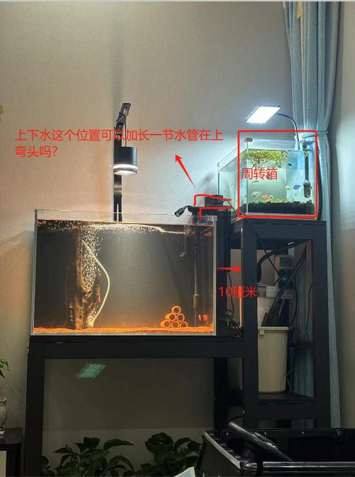 鱼缸水循环一天开多久图标