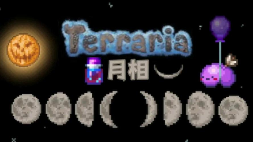 泰拉瑞亚骷髅商人缩略图