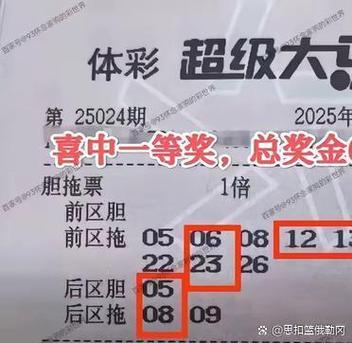 大乐透大赢家基本走势图表图截图