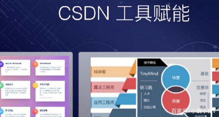 csdn是什么软件