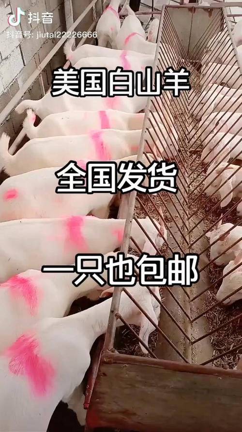 奔小康最新下载链接
