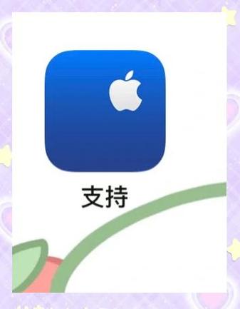 苹果支付扣款在哪里查记录图标