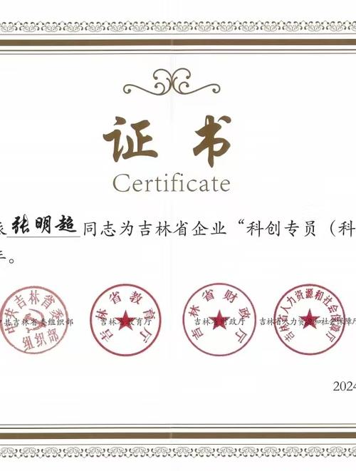 中国科技人才网证书查询截图
