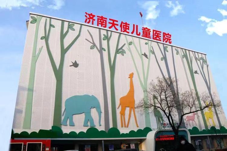 济南天使医院是一家私立医院截图
