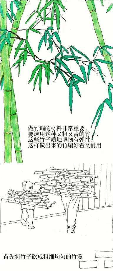 竹子为什么要斜着砍
