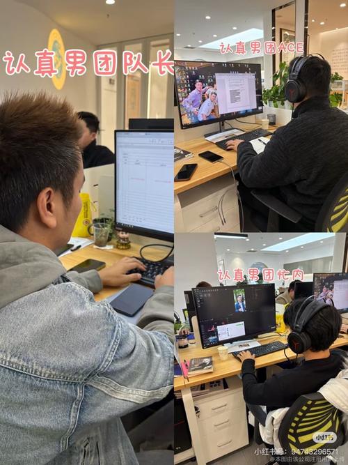 专业吸粉团队