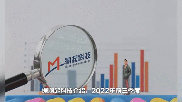澜起科技(688008.SH)