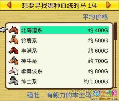 赛马牧场物语全血统