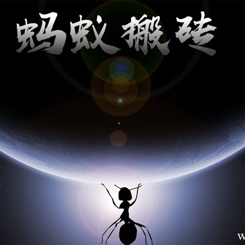 蚂蚁搬砖老板是谁