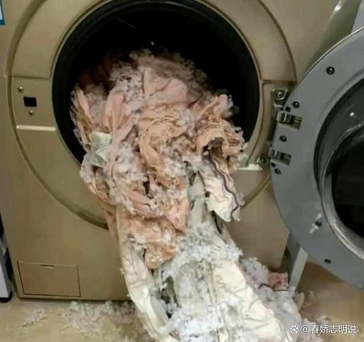 洗衣机甩干羽绒服实验人员还原爆炸截图