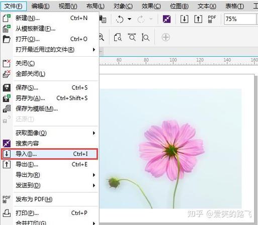 cdr打开文件看不到图截图
