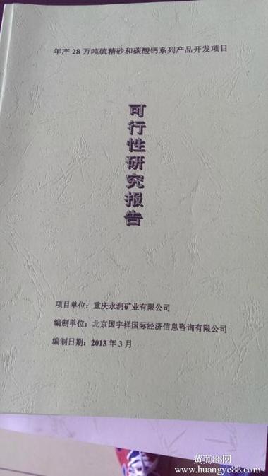 煤矸石综合利用项目可行性研究报告截图