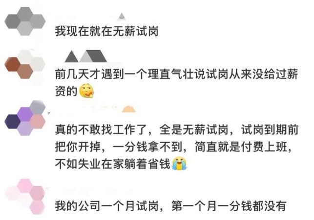 七天无薪资试岗