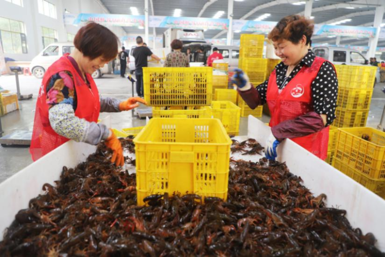 中国小龙虾交易中心