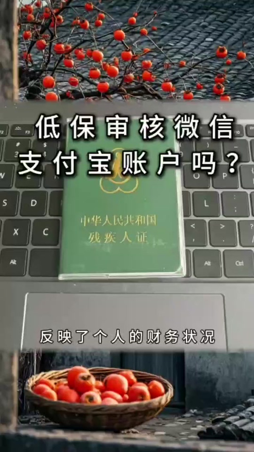 手机上怎么查询个人低保