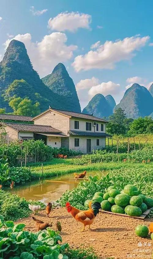 乡村图片风景田园