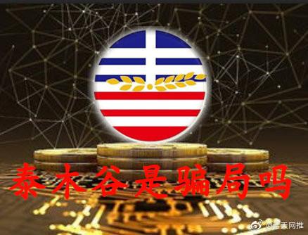 泰木谷3.0.1版本下载