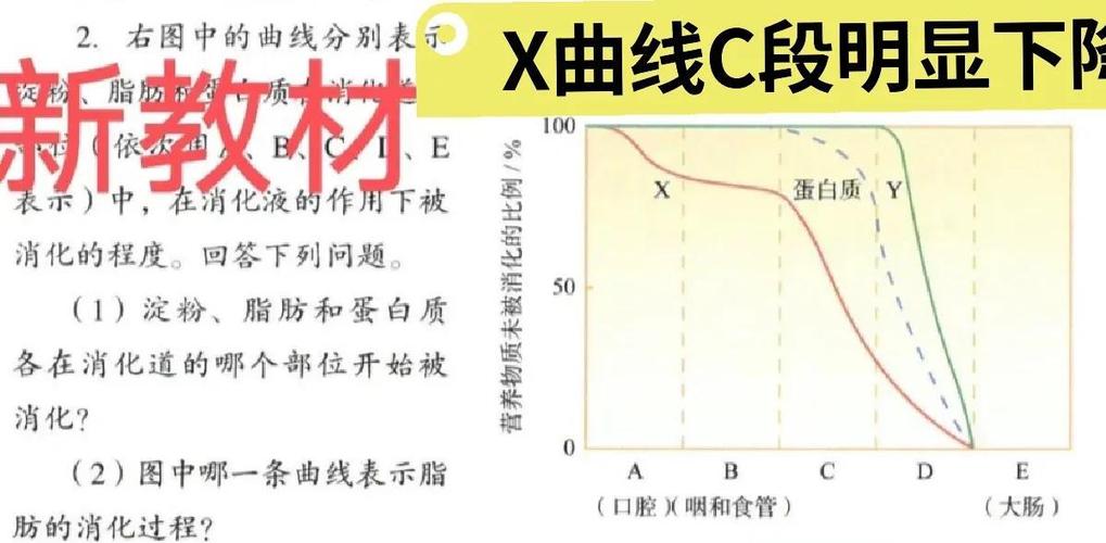 ph是哪里