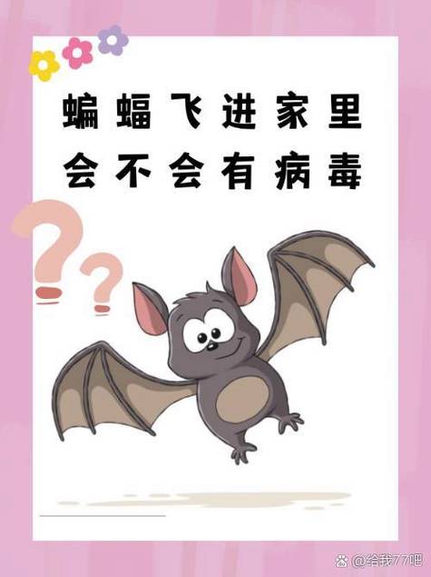 蝙蝠飞进房间会不会有病毒