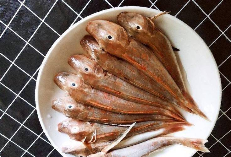 红头鱼有鱼鳞吗