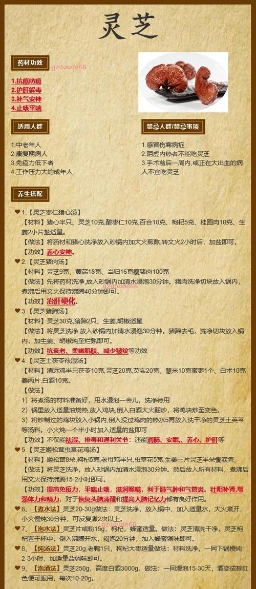 中药灵芝的功效与作用缩略图