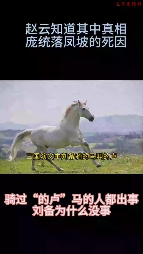 刘备的马的卢怎么读