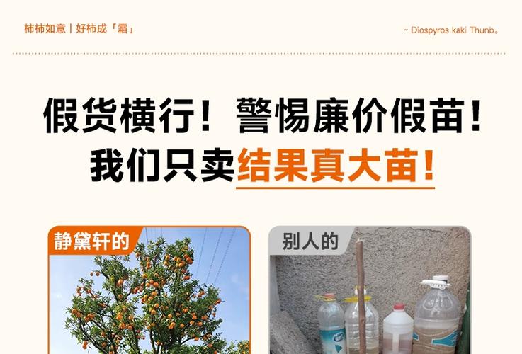 淘宝果树苗对版的店铺