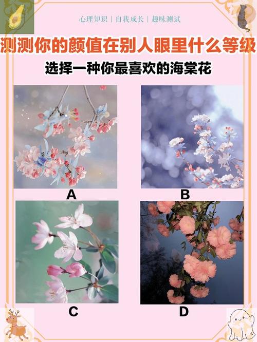 测试你的美貌级别图标