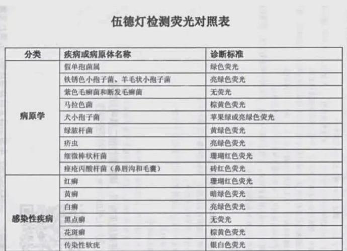 猫闪黄灯是什么意思缩略图