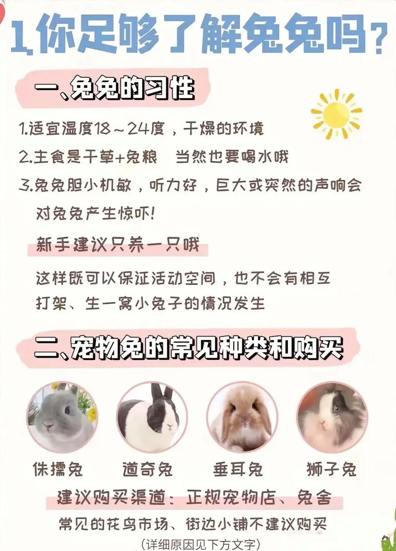 兔子的饲养方法