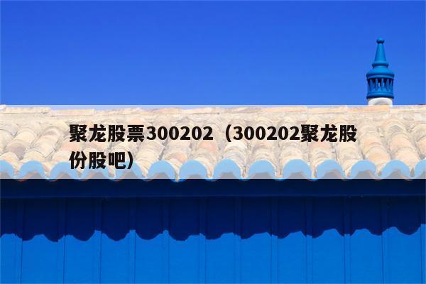 聚龙5股吧