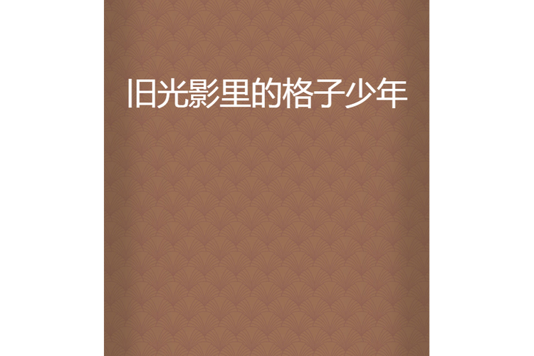 旧光影里的格子少年什么意思