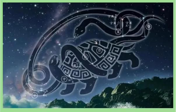 星宿朱雀玄武电视剧缩略图