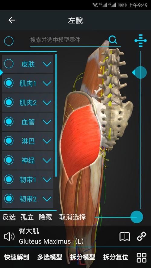 医维度免费版