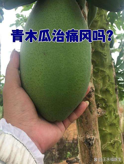 青木瓜