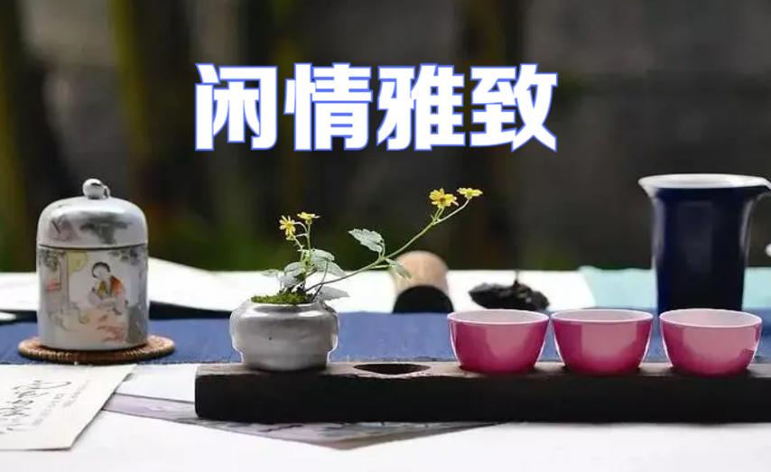雅致是夸人还是骂人缩略图